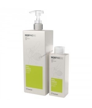 Framesi Morphosis Balance Shampoo (     ) - ,   